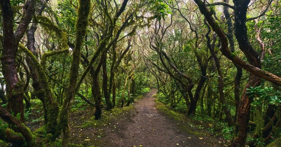 Best Outdoor Things to Do in Los Angeles: Hiking, Surfing & More